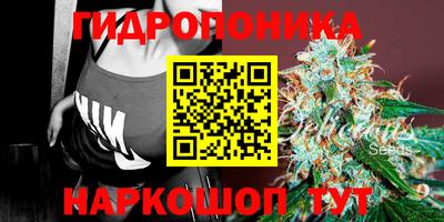 дмт Ливны