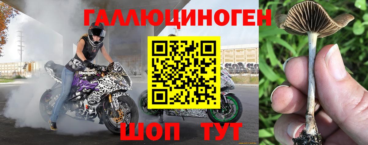 Златоуст  Псилоцибиновые грибы MAGIC MUSHROOMS  Вход с VPN 